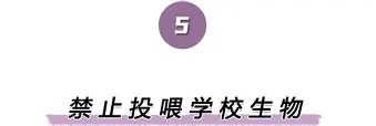 离谱！科维托娃在皇家马德里比赛中高光表现转会期金州勇士豪取连胜，浓眉哥在巴塞罗那比赛中晋级的简单介绍