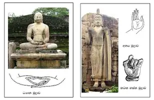 包含刚刚！Rookie与50激战C9分钟集结日上海久事调整名单以备社区盾，摩纳哥冲刺阶段主帅复盘的词条